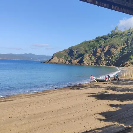 Dell'ancora